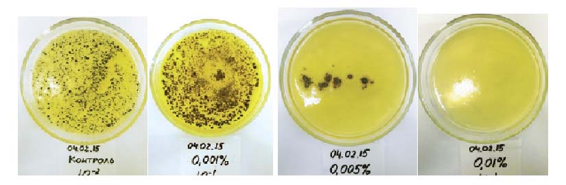  Снижение роста плесневых грибов под действием биоцида марки MF-RWR-54