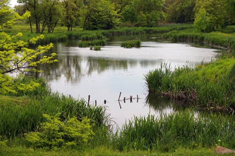 Народная мудрость: пословицы и поговорки с упоминанием воды