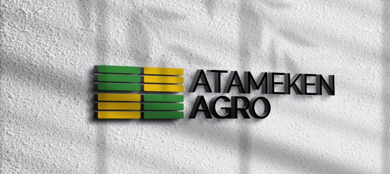Кейс: оснащение завода «Atameken-Agro Oils» системами водоподготовки